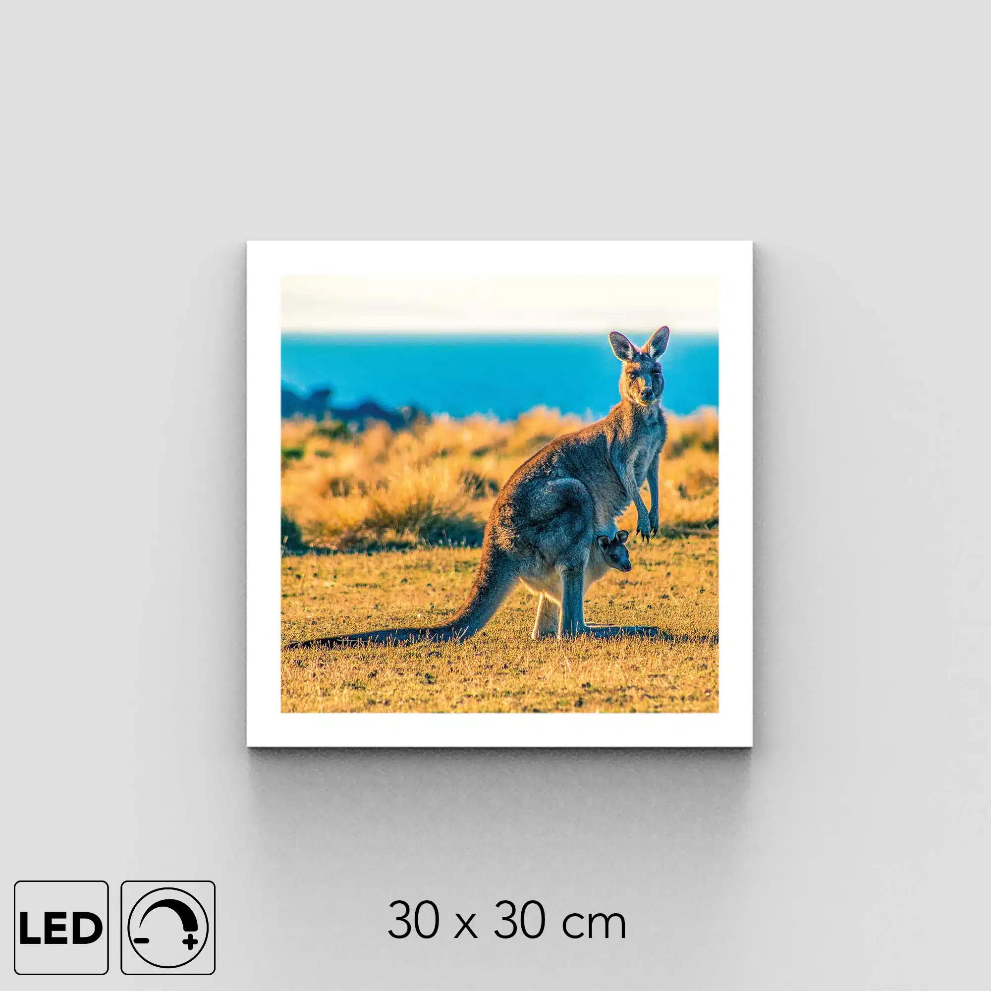 Applique murale kangourou Applique murale kangourou