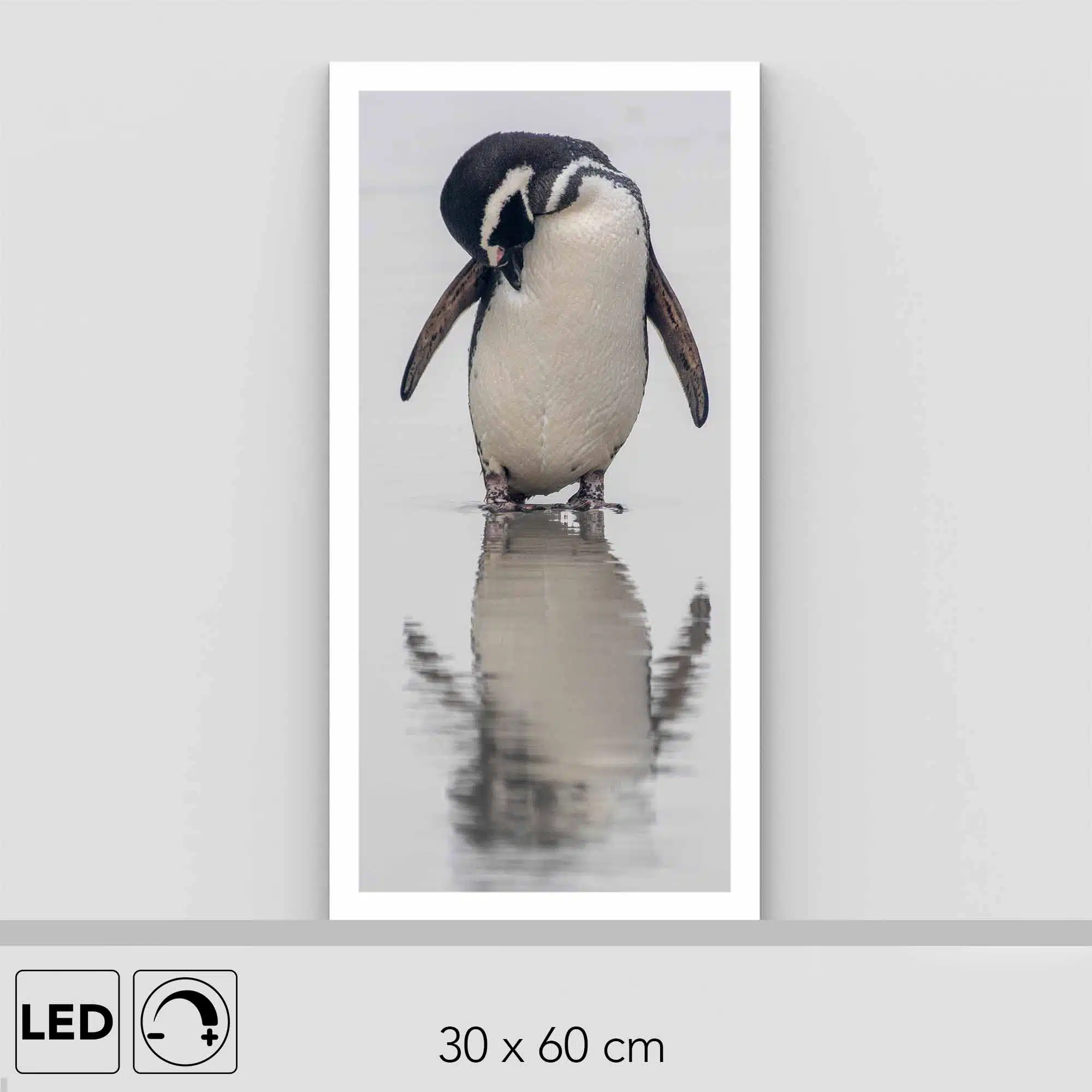 Lampe manchots de Magellan