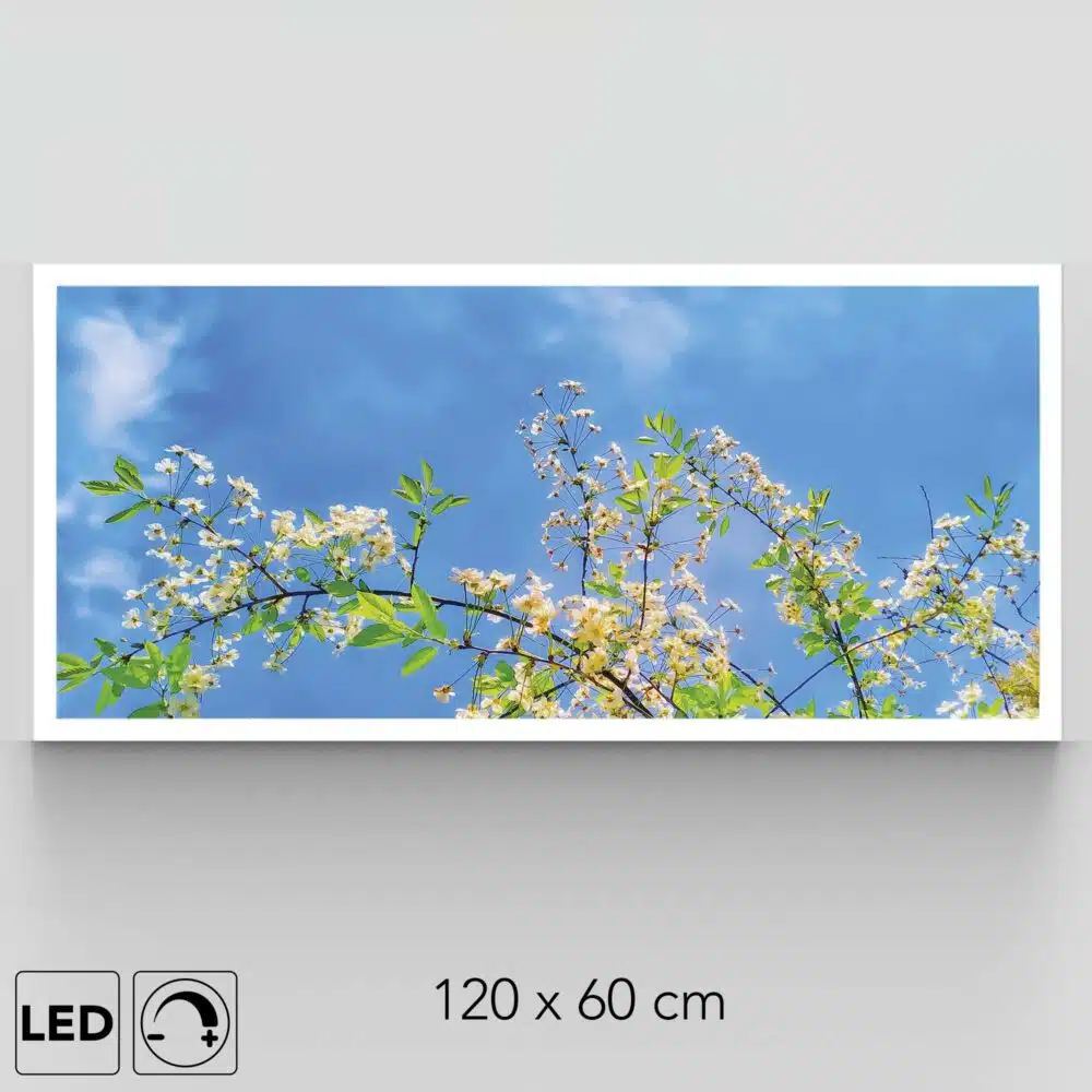 Plafonnier ciel et fleurs présentation