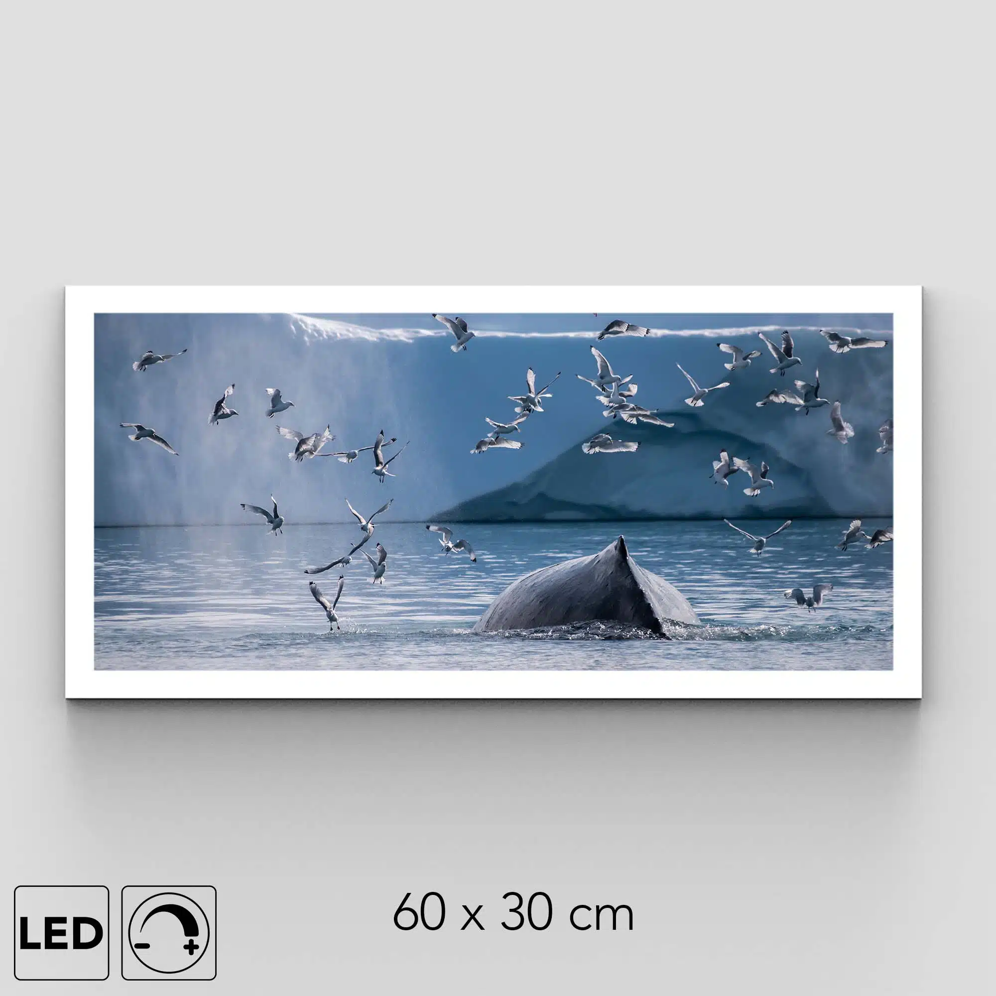 Applique murale baleine Applique murale baleine