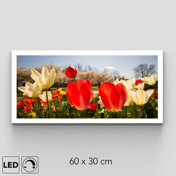 Applique murale champ tulipes