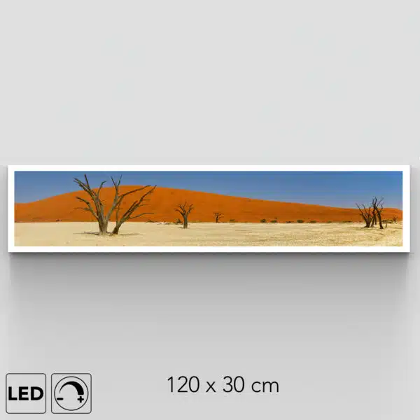 Applique murale Deadvlei