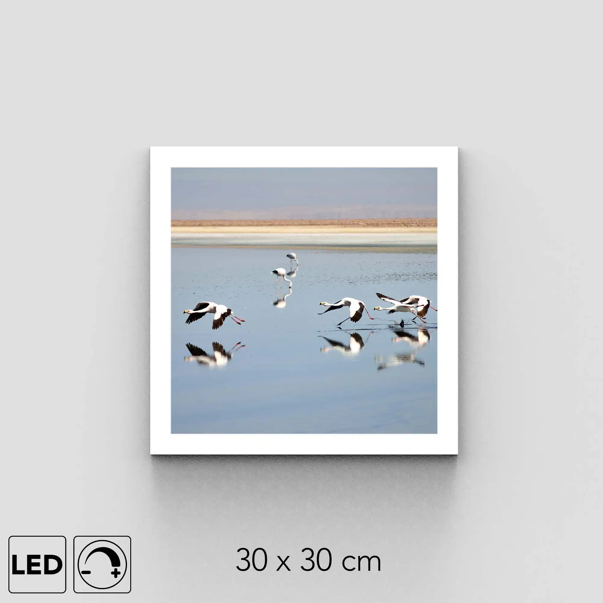 Applique murale flamant rose Applique murale flamant rose