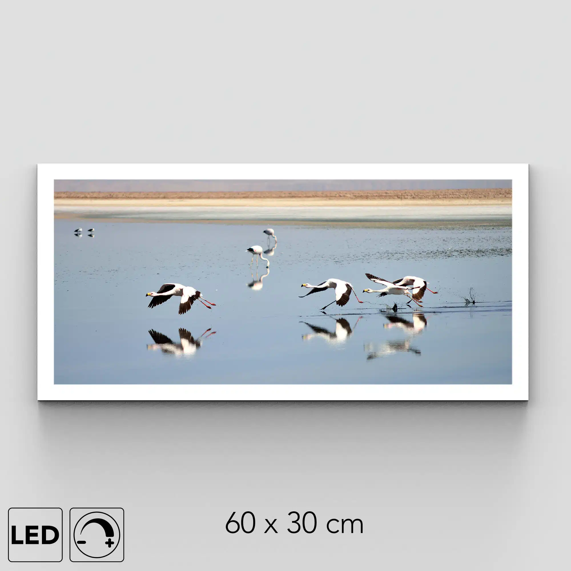 Applique murale flamants roses Applique murale flamants roses
