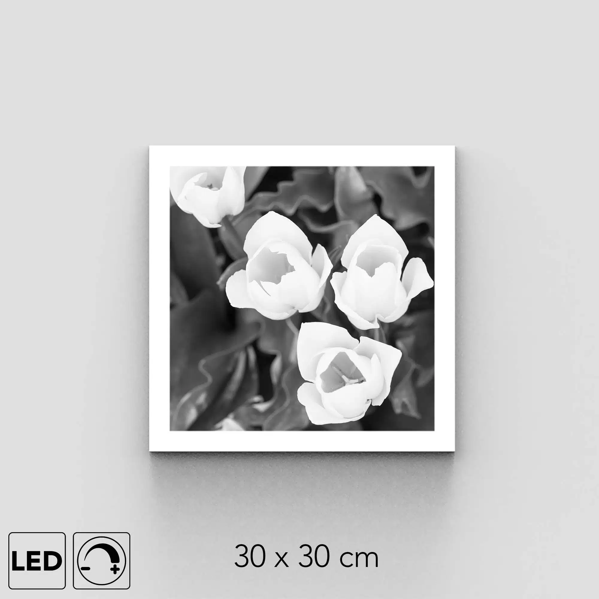 Applique murale fleurs blanches Applique murale fleurs blanches
