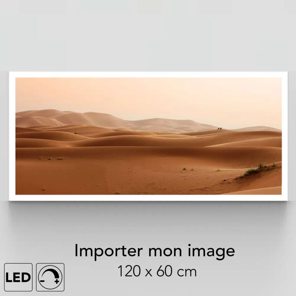Applique murale grand format