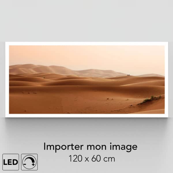 Applique murale grand format