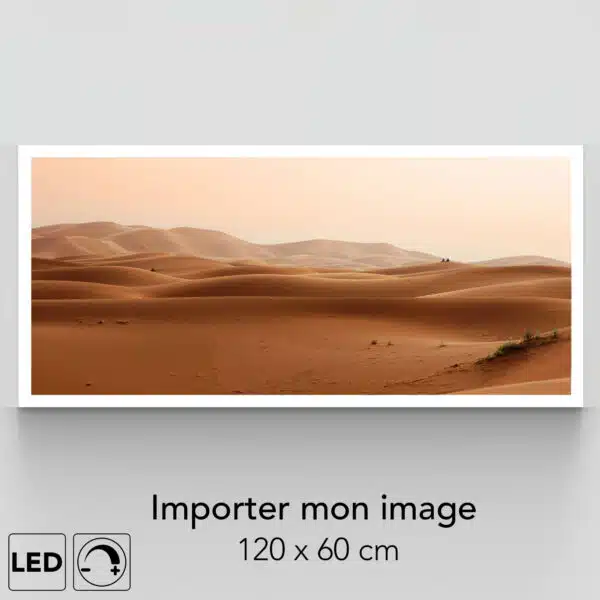 Applique murale grand format