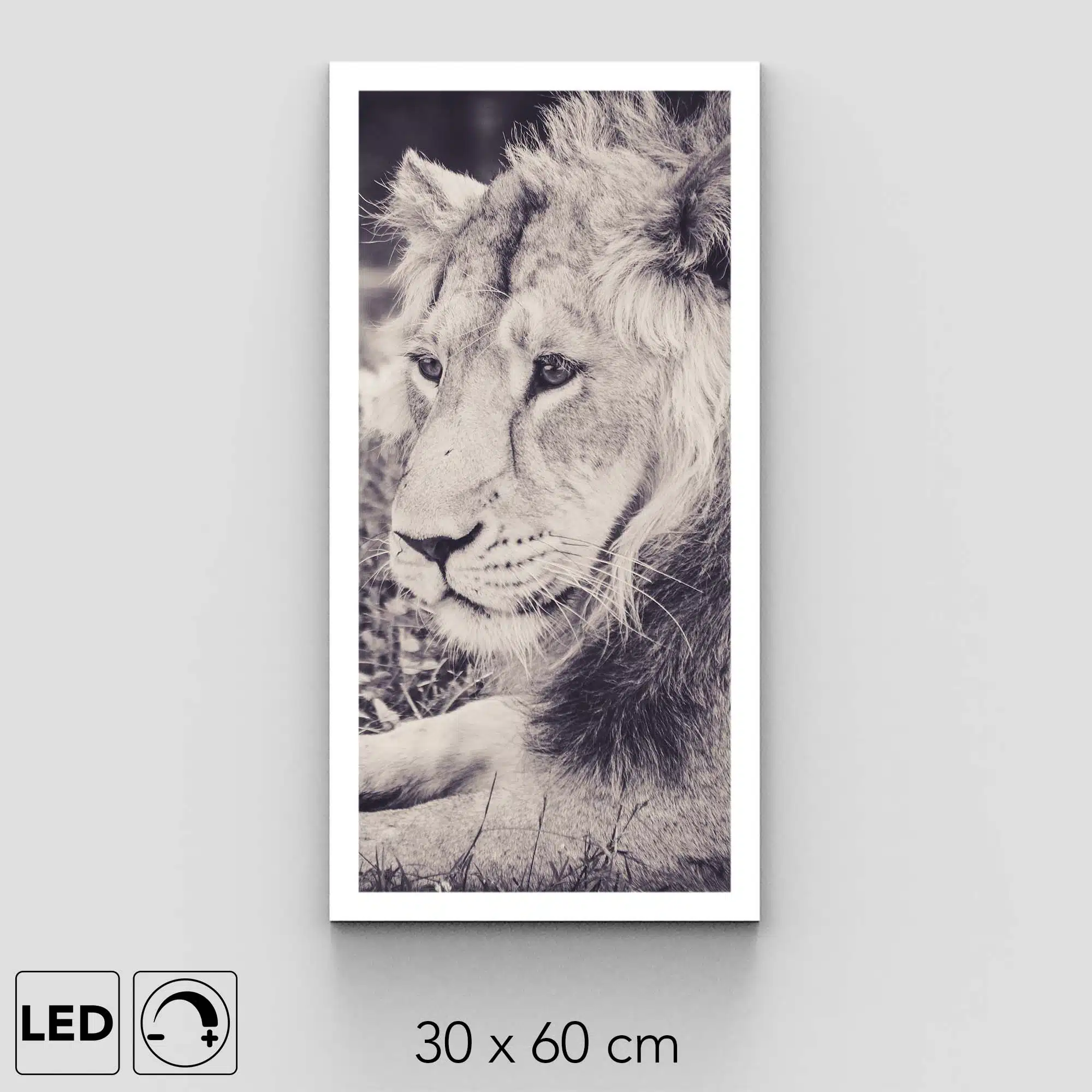 Applique murale lion noir et blanc Applique murale lion noir et blanc