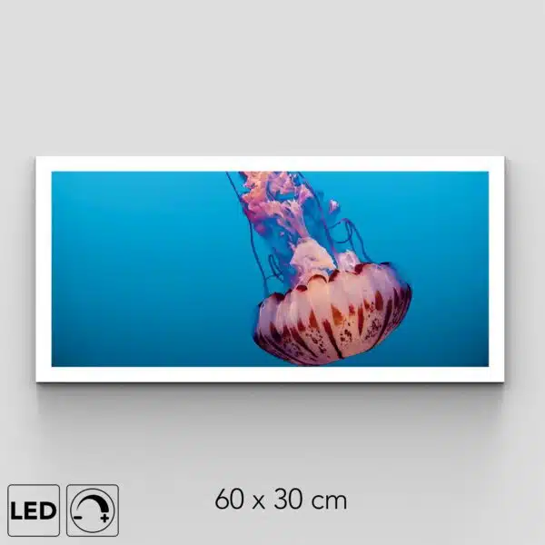 Applique murale méduse rose