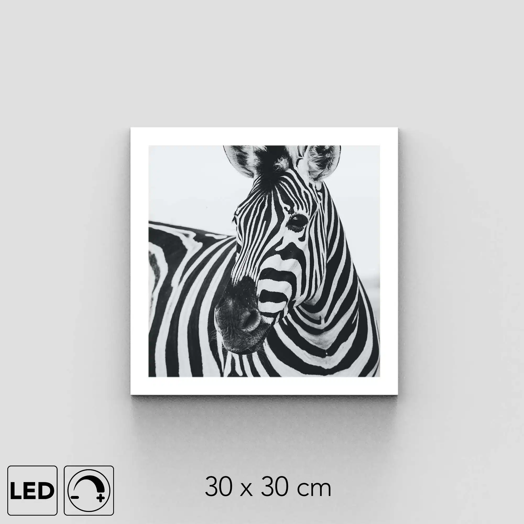 Applique murale zèbre noir et blanc Applique murale zèbre noir et blanc
