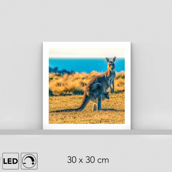 Lampe kangourou