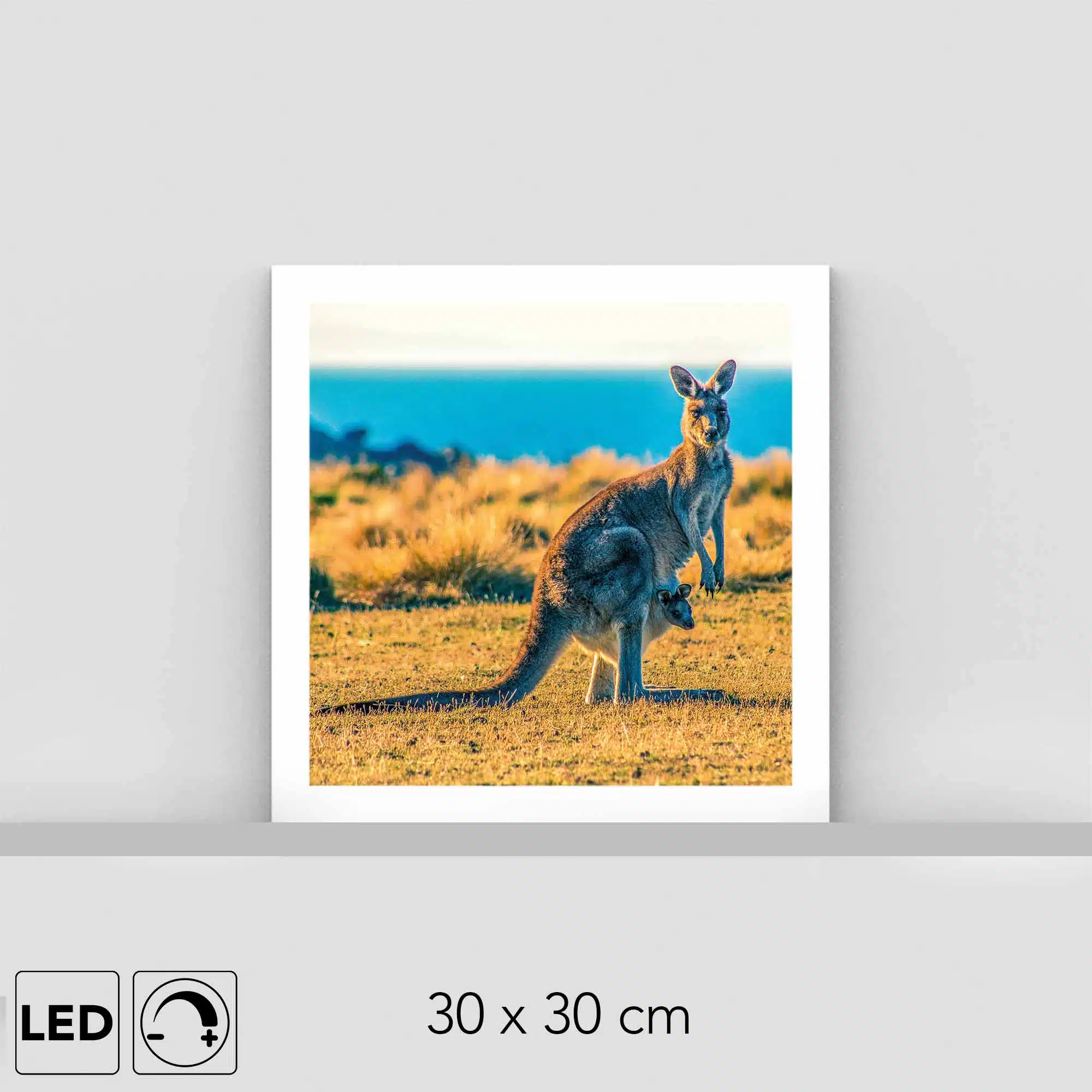 Lampe kangourou Lampe kangourou