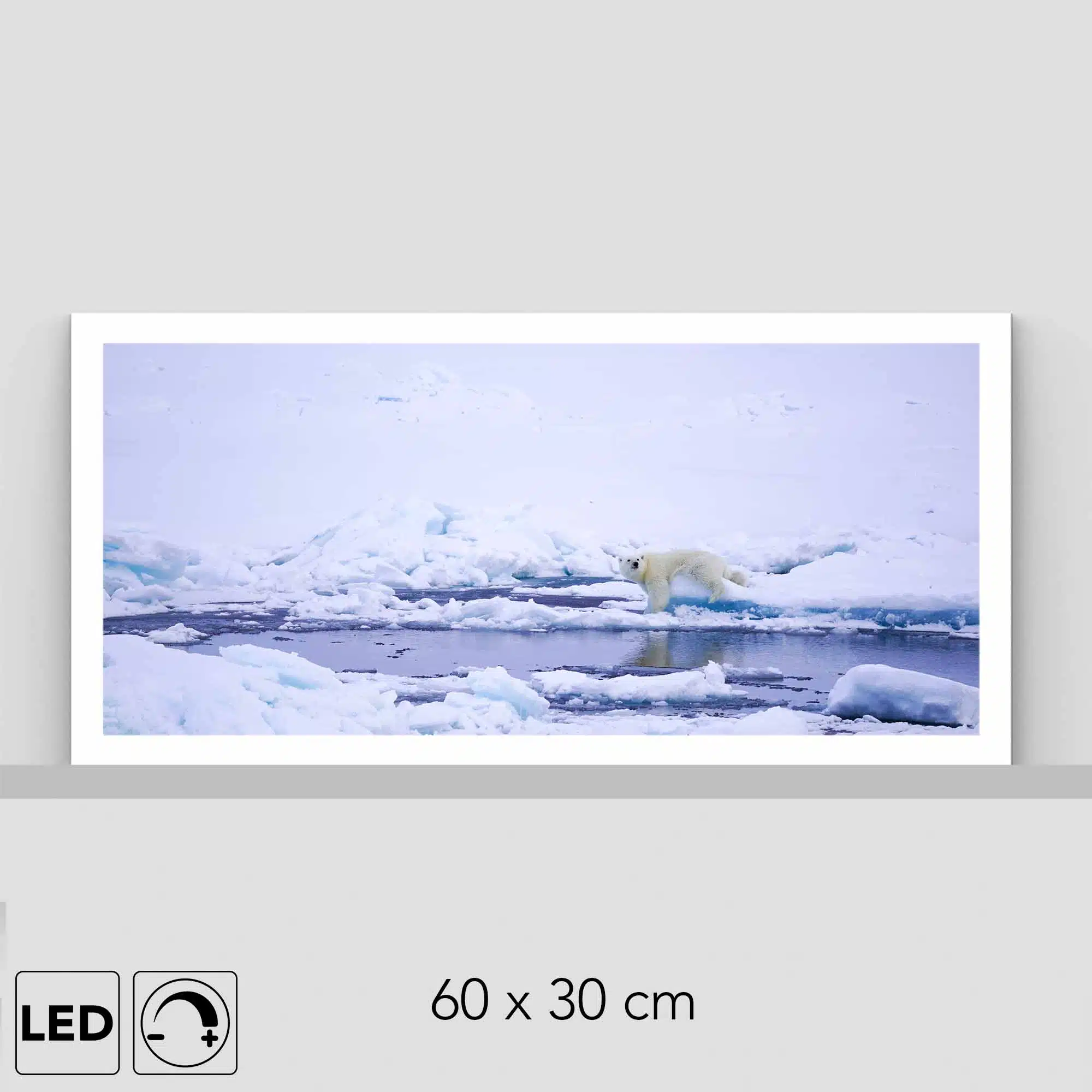 Lampe ours polaire réflexion Lampe ours polaire réflexion