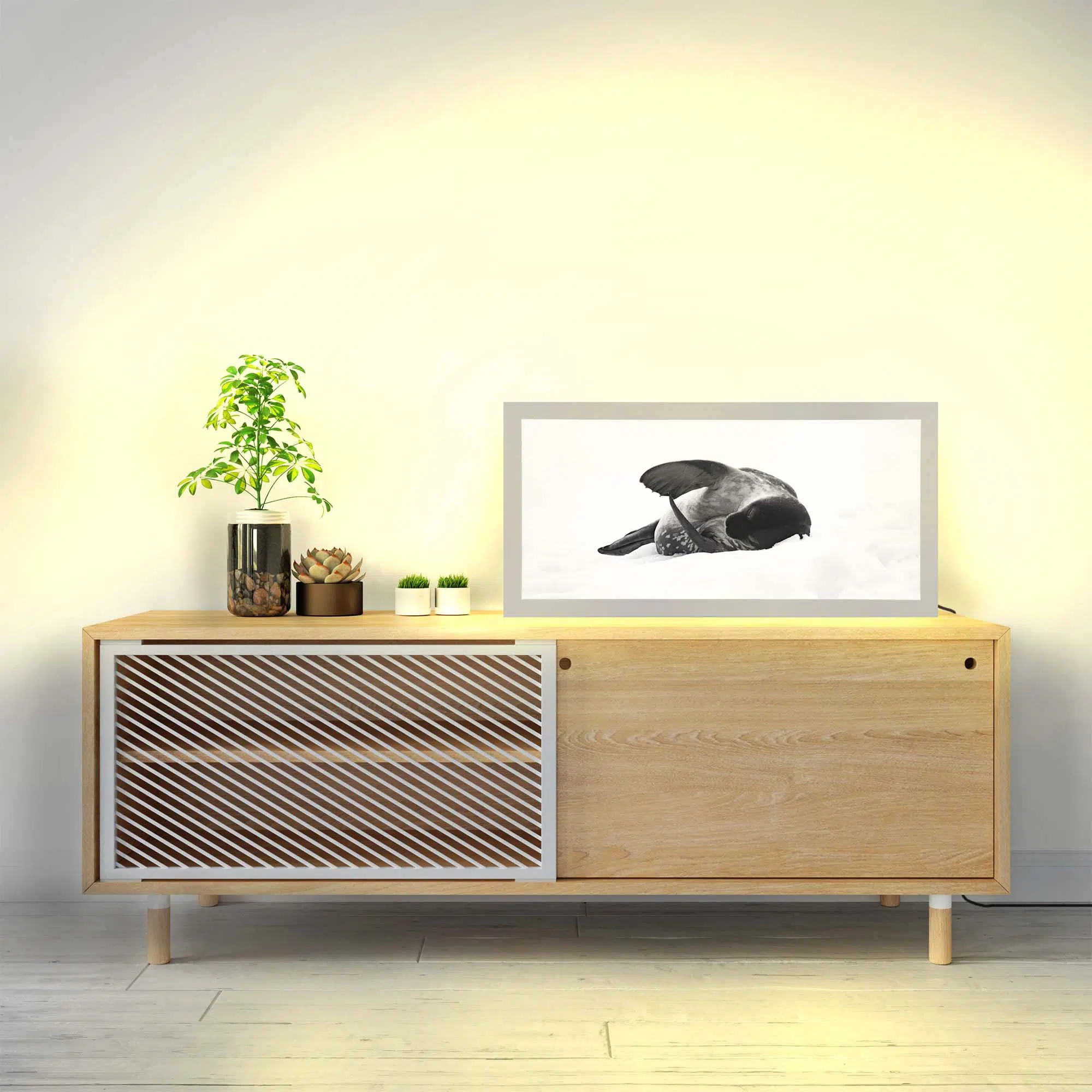 Lampe phoque antarctique allumée Lampe phoque antarctique allumée