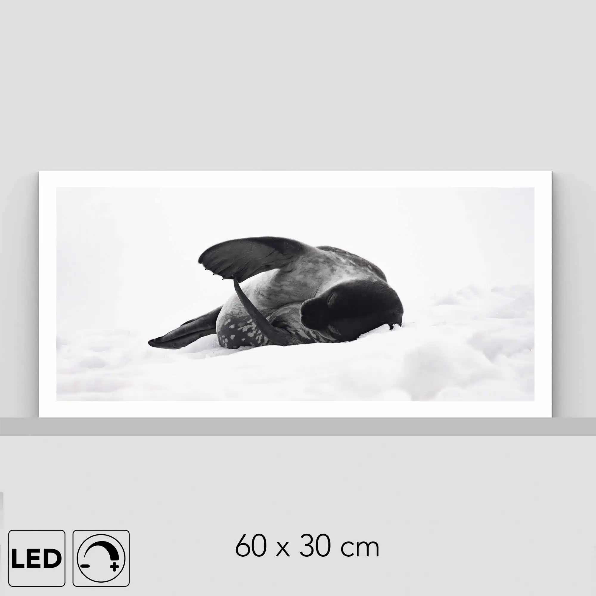 Lampe phoque antarctique Lampe phoque antarctique