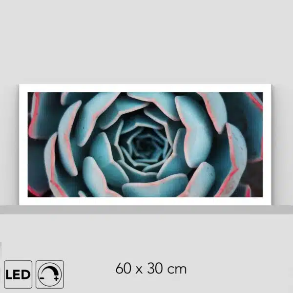 Lampe plante