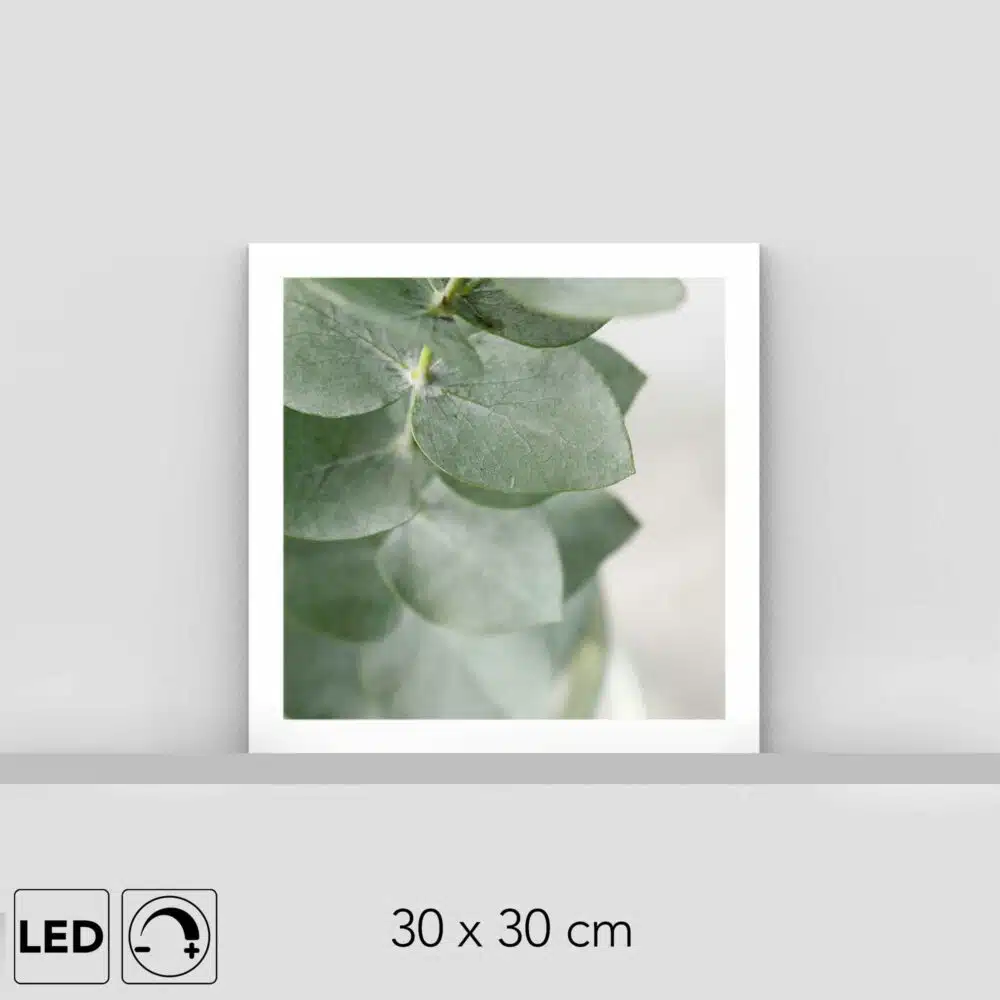 Lampe plante eucalyptus