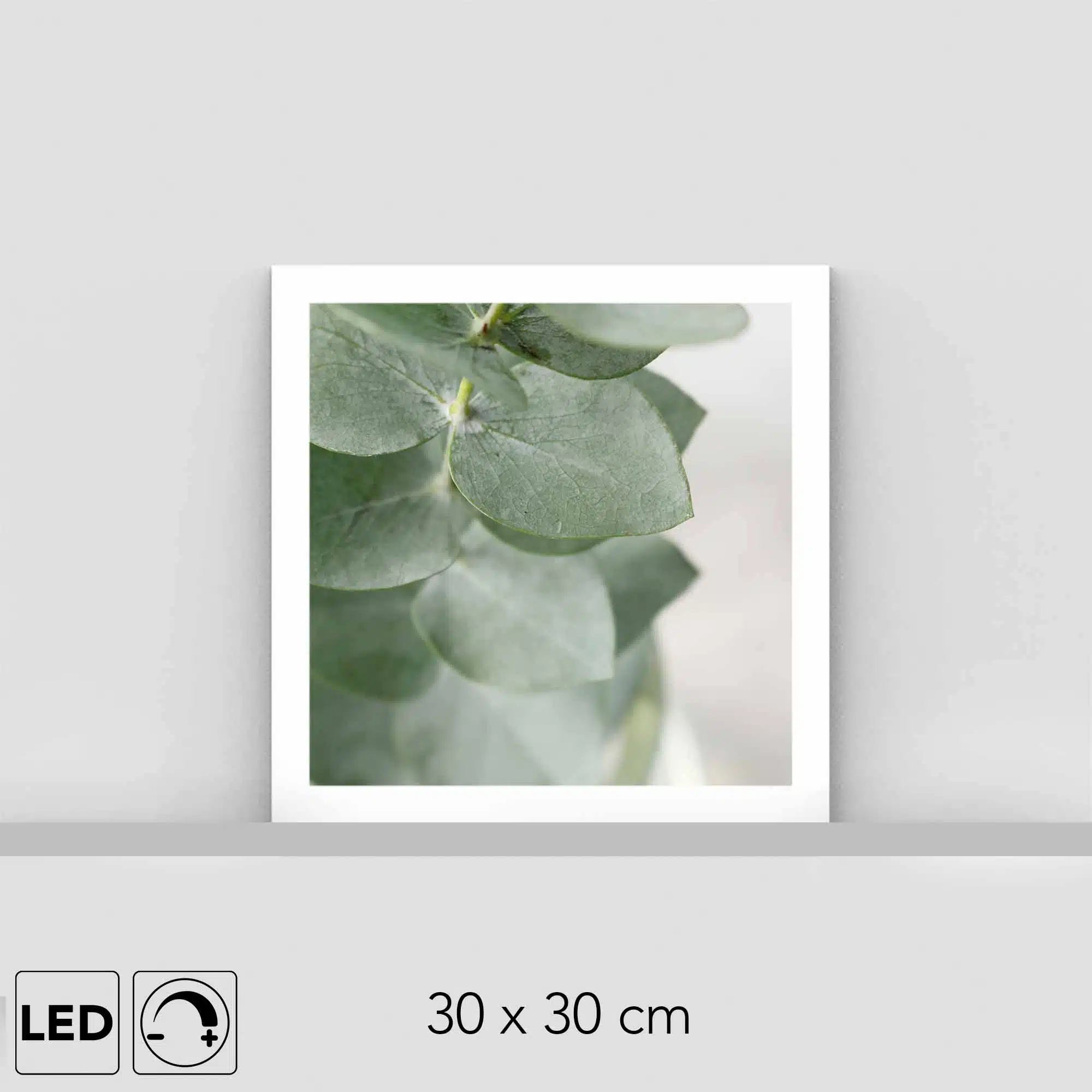 Lampe plante eucalyptus Lampe plante eucalyptus