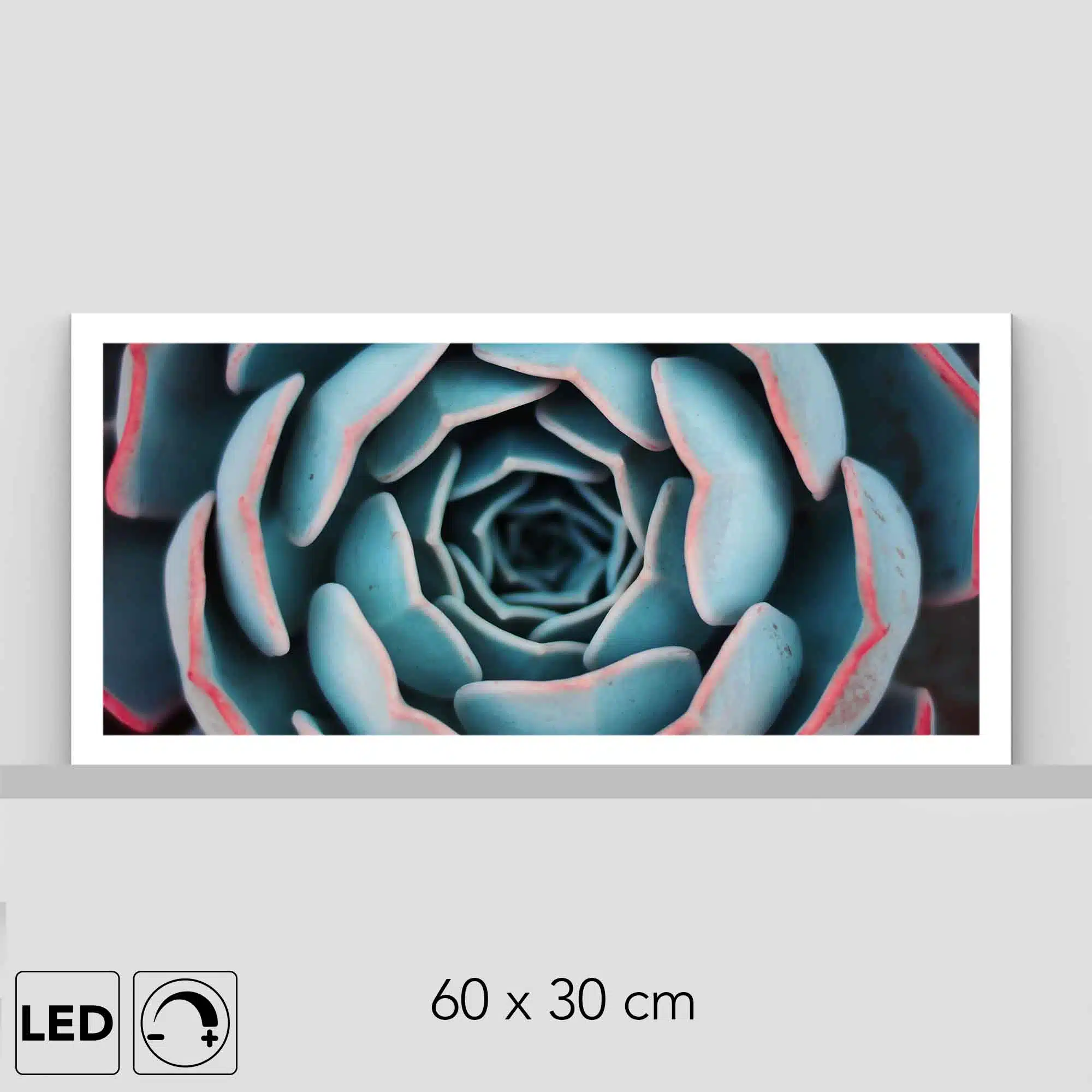 Lampe plante Lampe plante