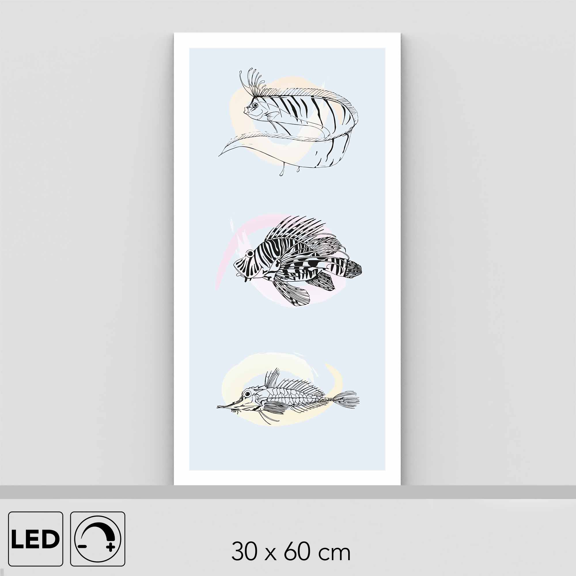 Lampe poissons 30x60cm visuel Milie | Lumeninside