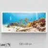 Plafonnier aquarium présentation