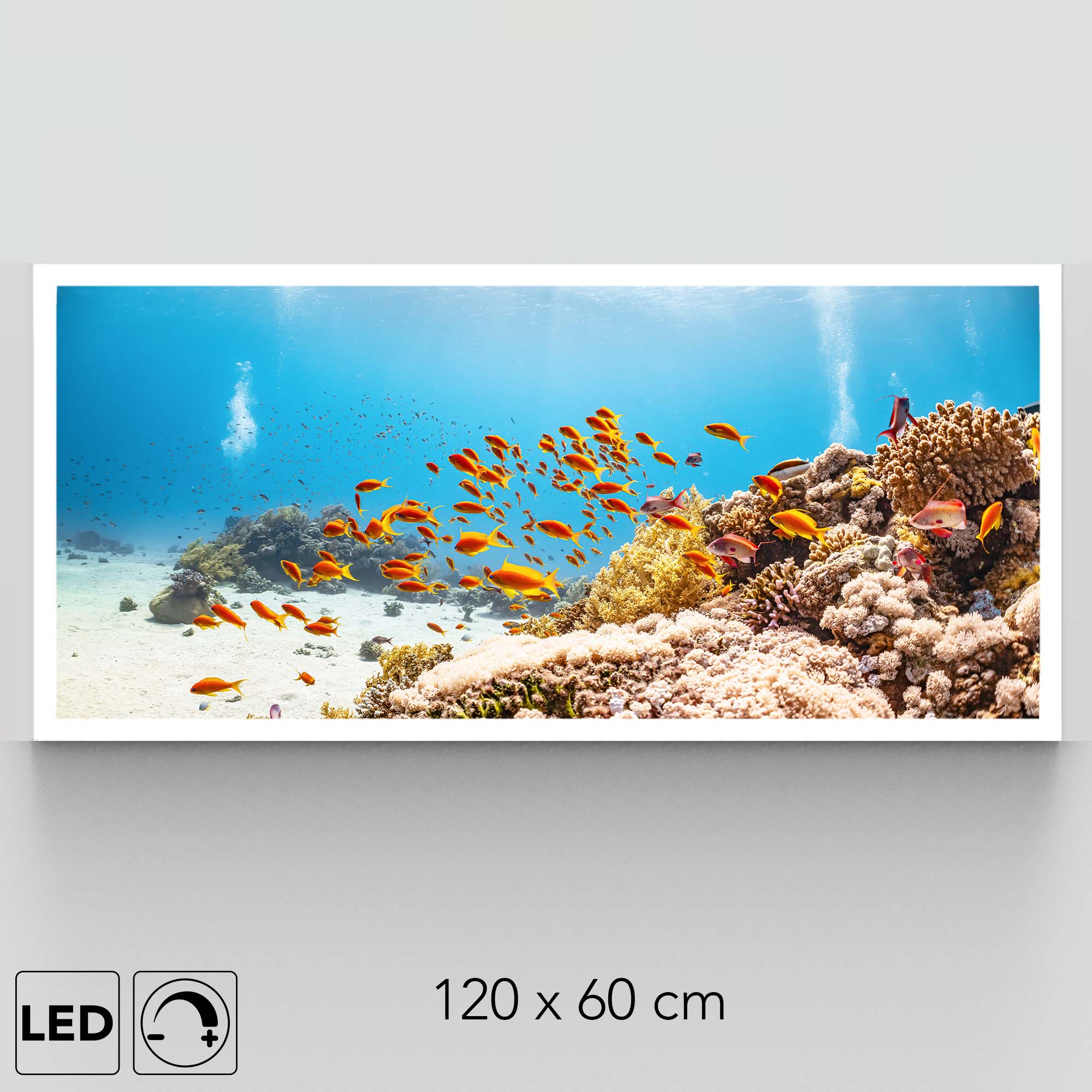 Plafonnier aquarium présentation