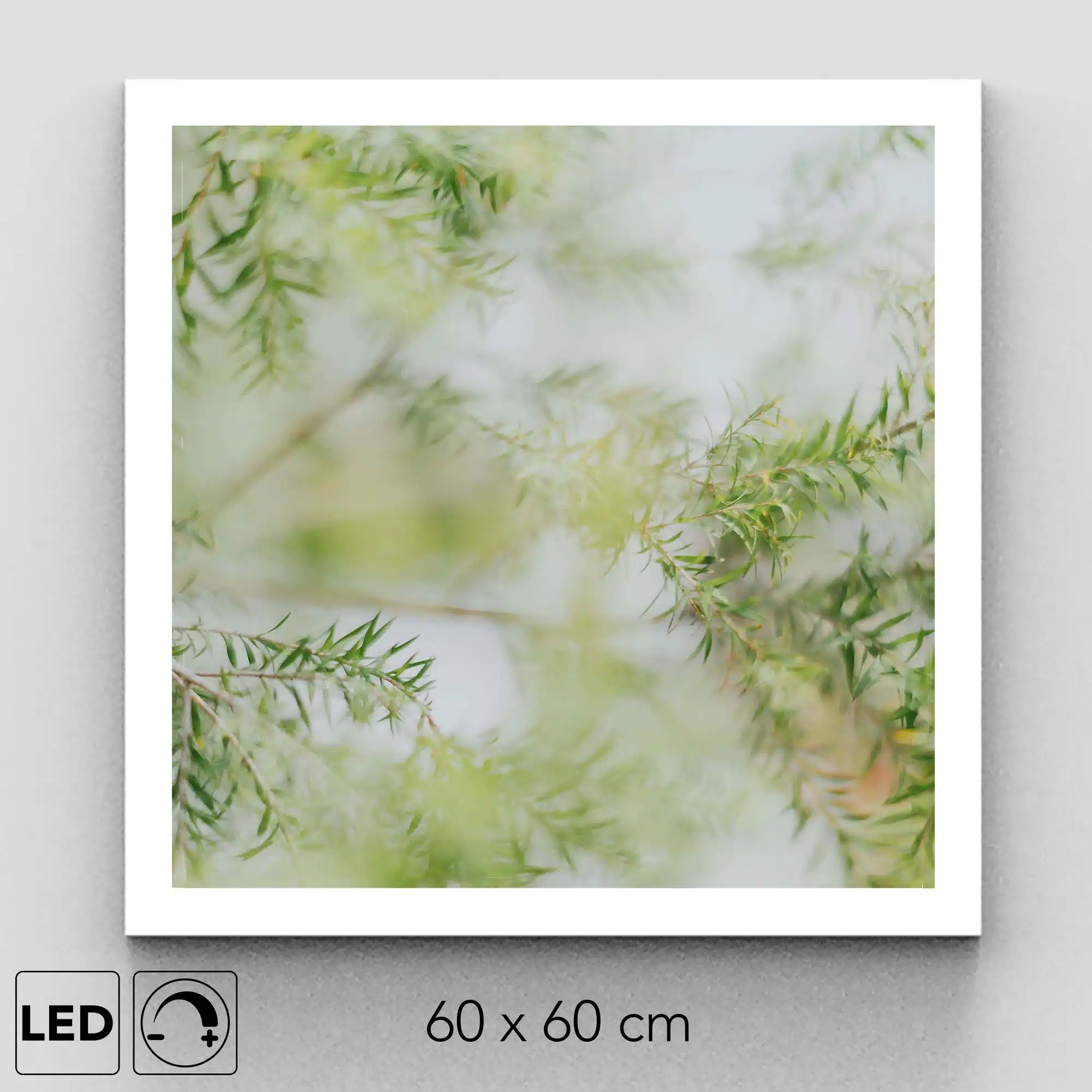 Plafonnier arbre flou présentation Plafonnier arbre flou présentation