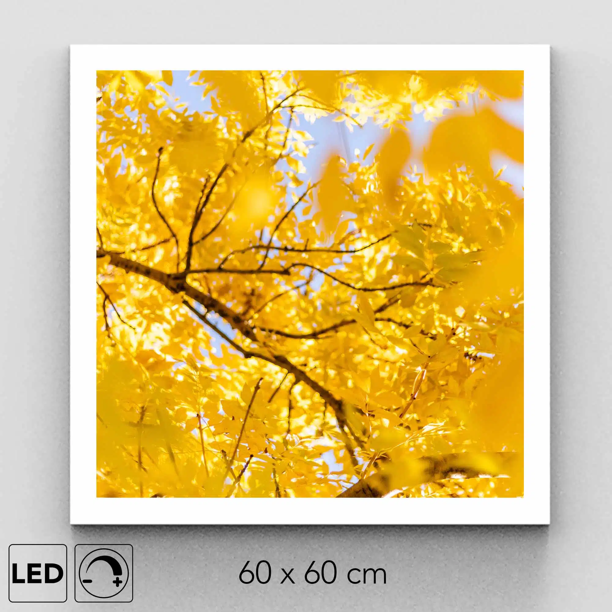 Plafonnier arbre présentation Plafonnier arbre présentation