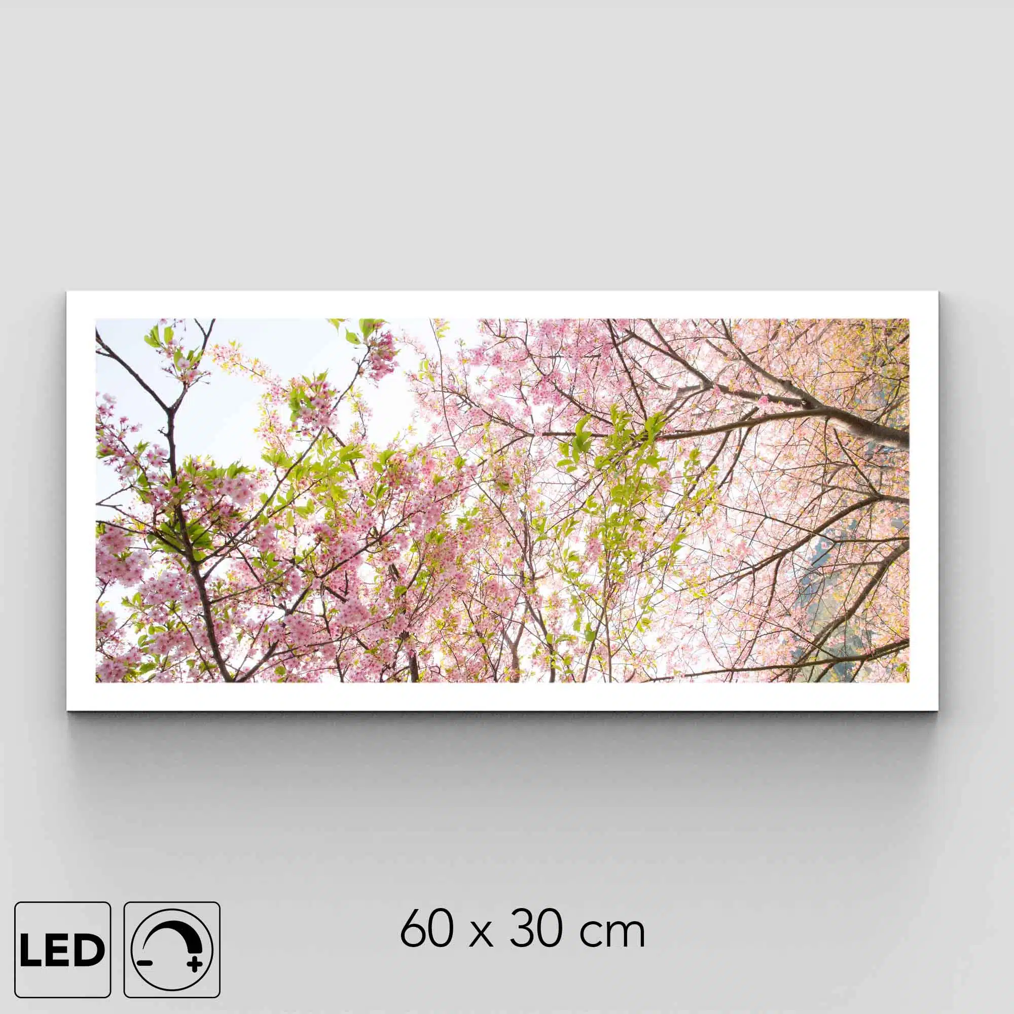 Plafonnier cerisier rose présentation Plafonnier cerisier rose présentation