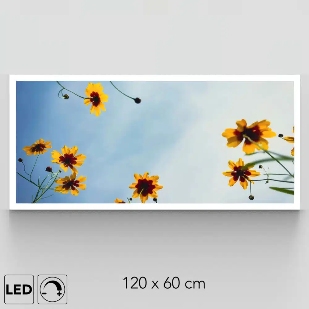 Plafonnier ciel en fleurs présentation
