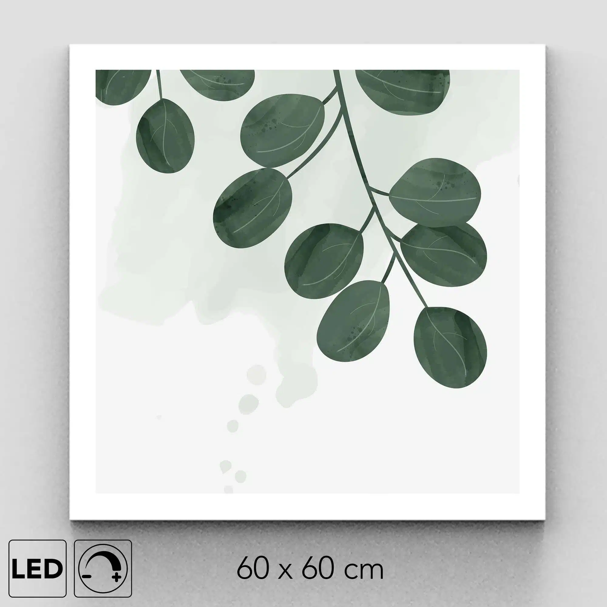 Plafonnier eucalyptus présentation Plafonnier eucalyptus présentation
