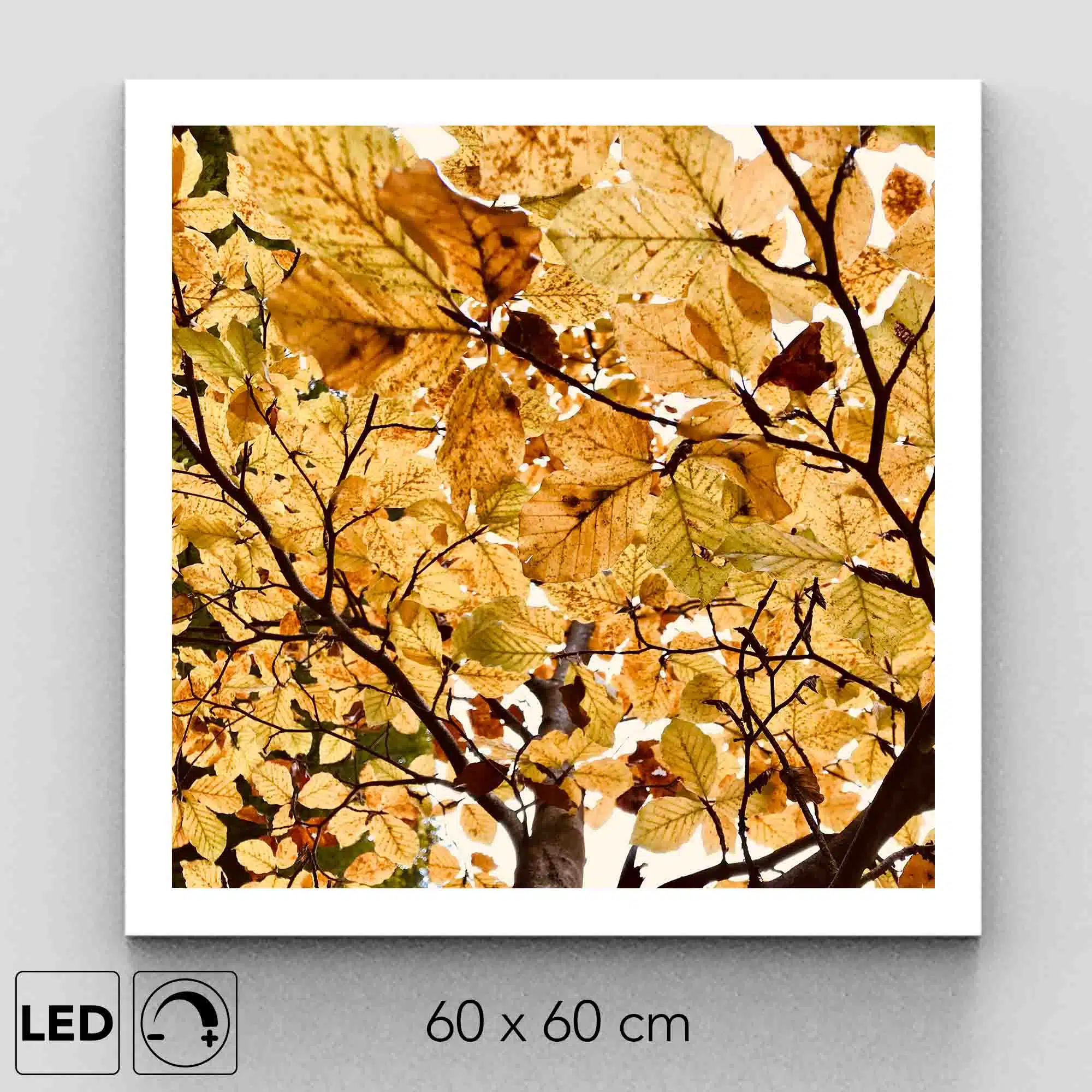 Plafonnier feuilles automne présentation