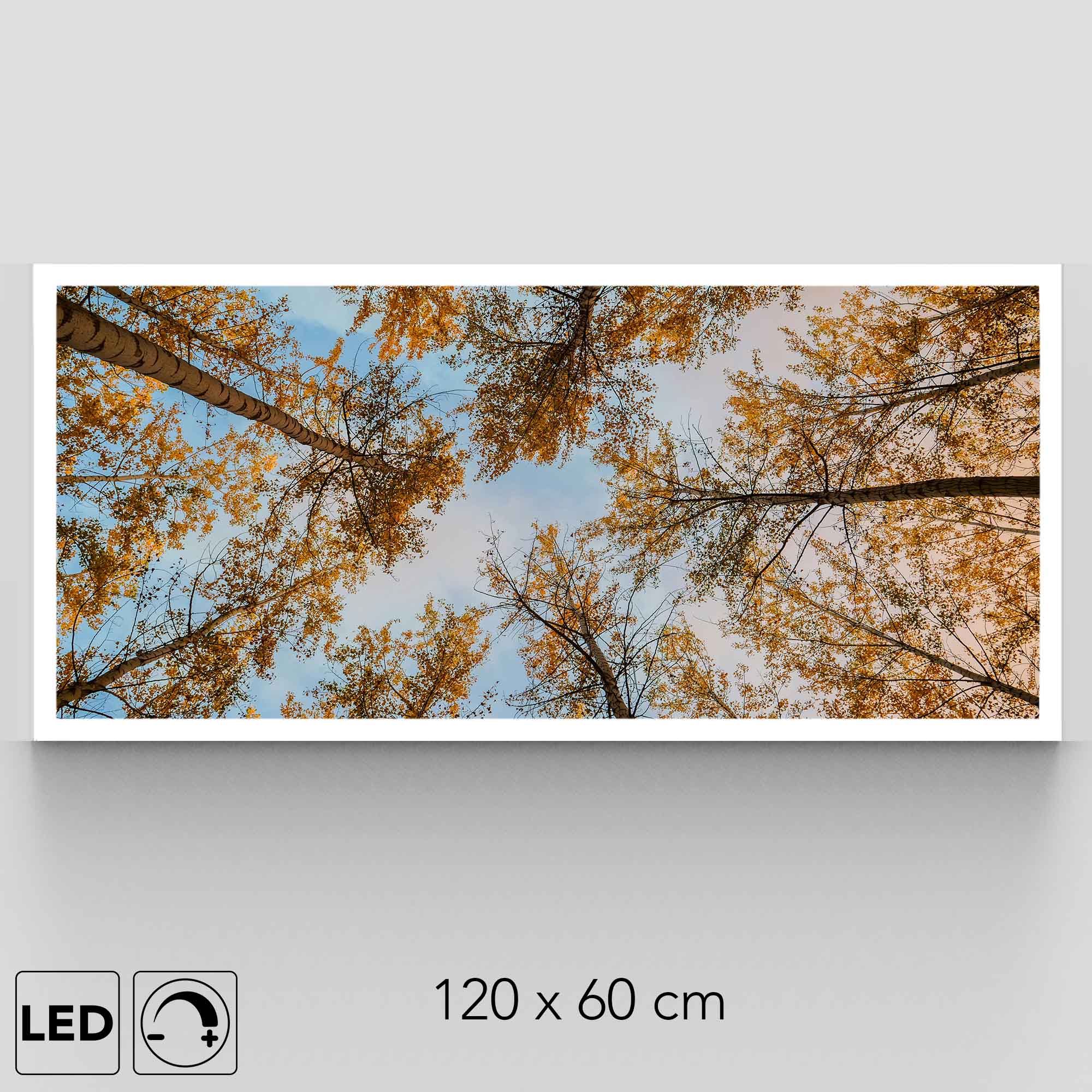 Plafonnier forêt d'arbres présentation