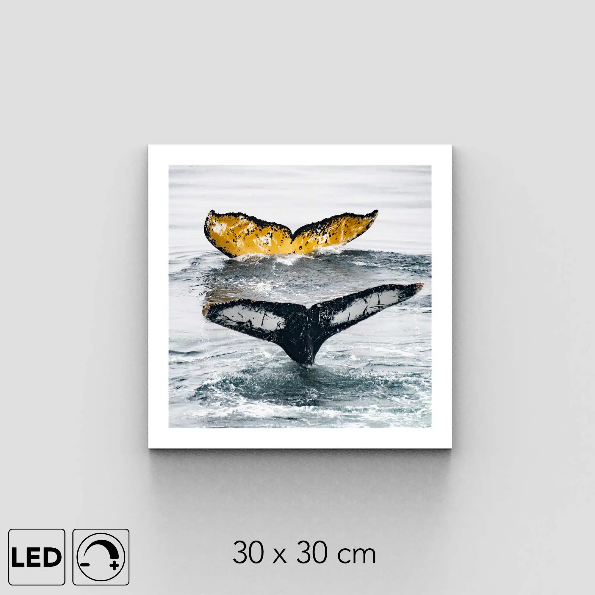 Applique murale baleines Applique murale baleines
