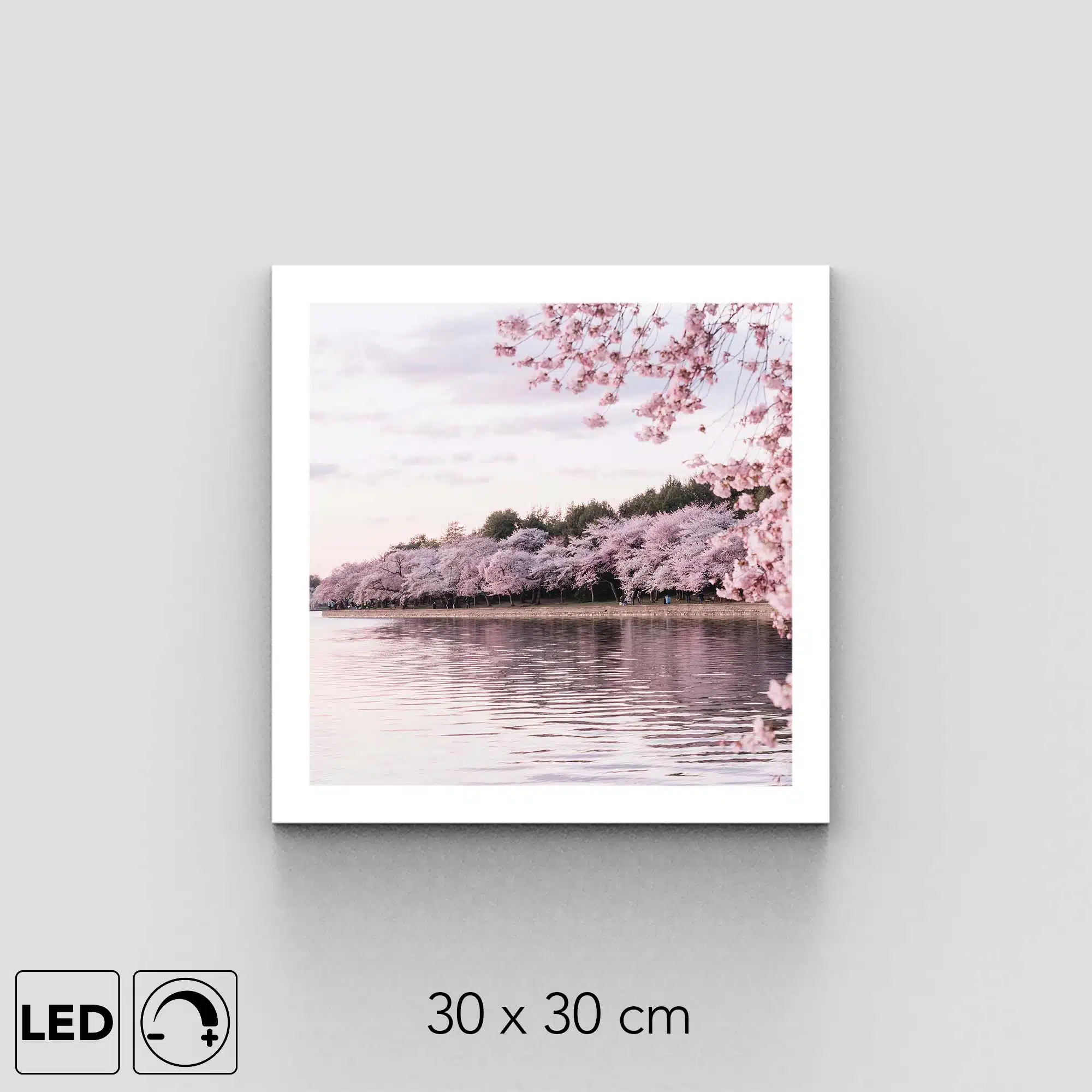 Applique murale cerisiers Applique murale cerisiers