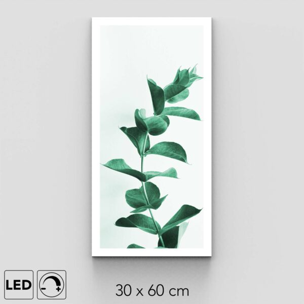 Applique murale eucalyptus