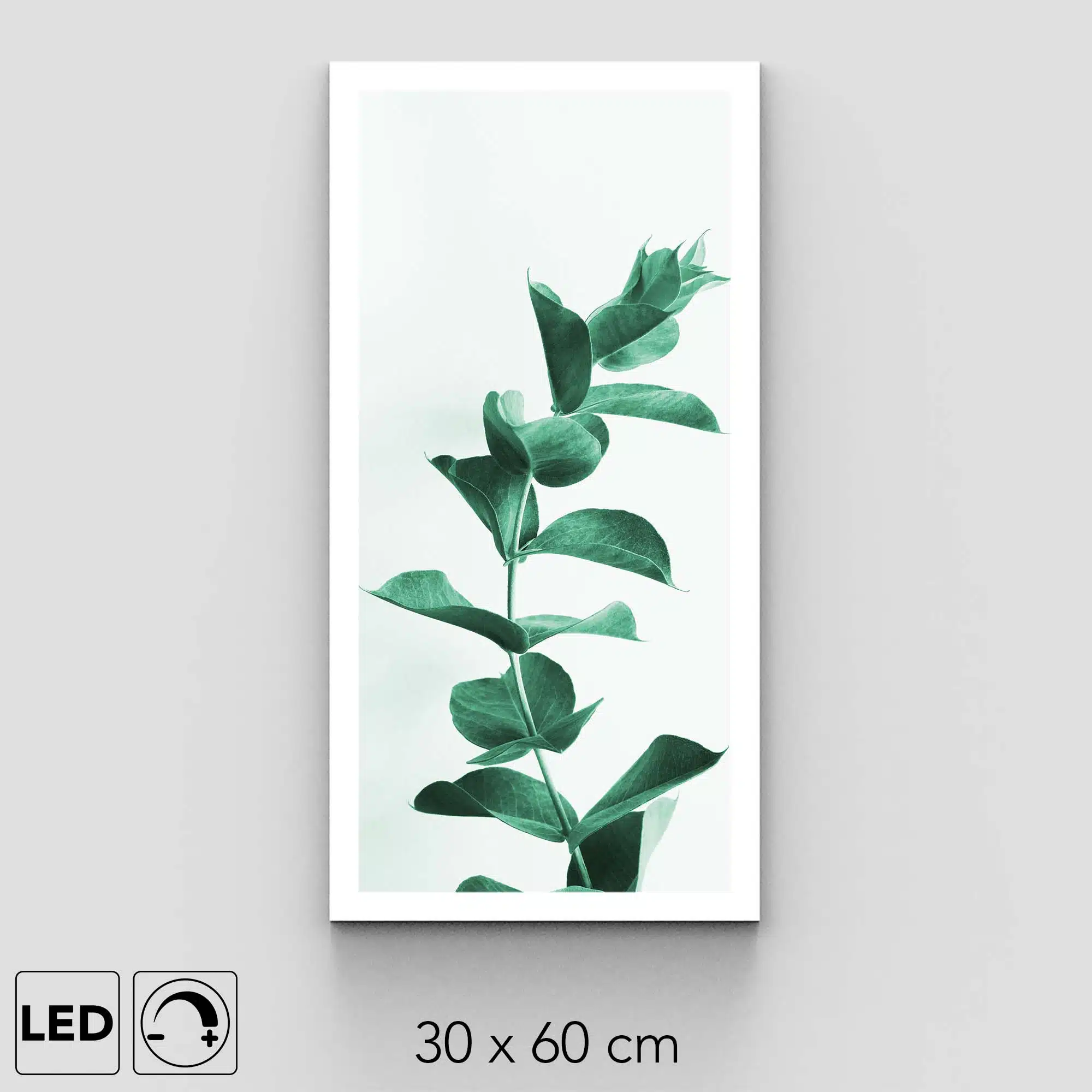Applique murale eucalyptus Applique murale eucalyptus
