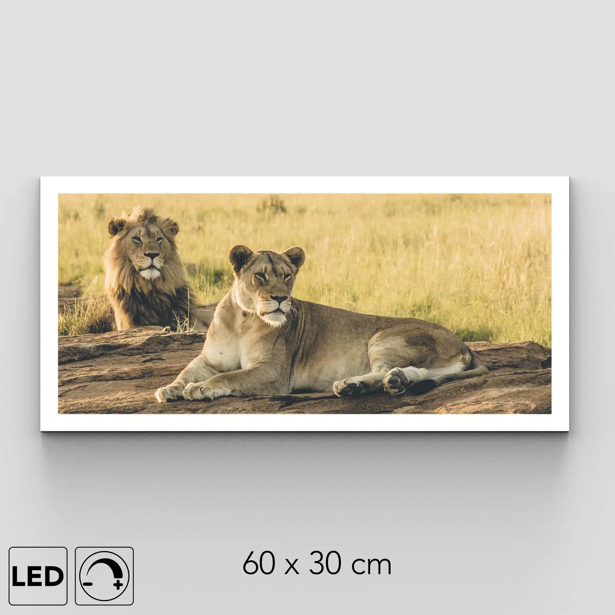 Applique murale lions