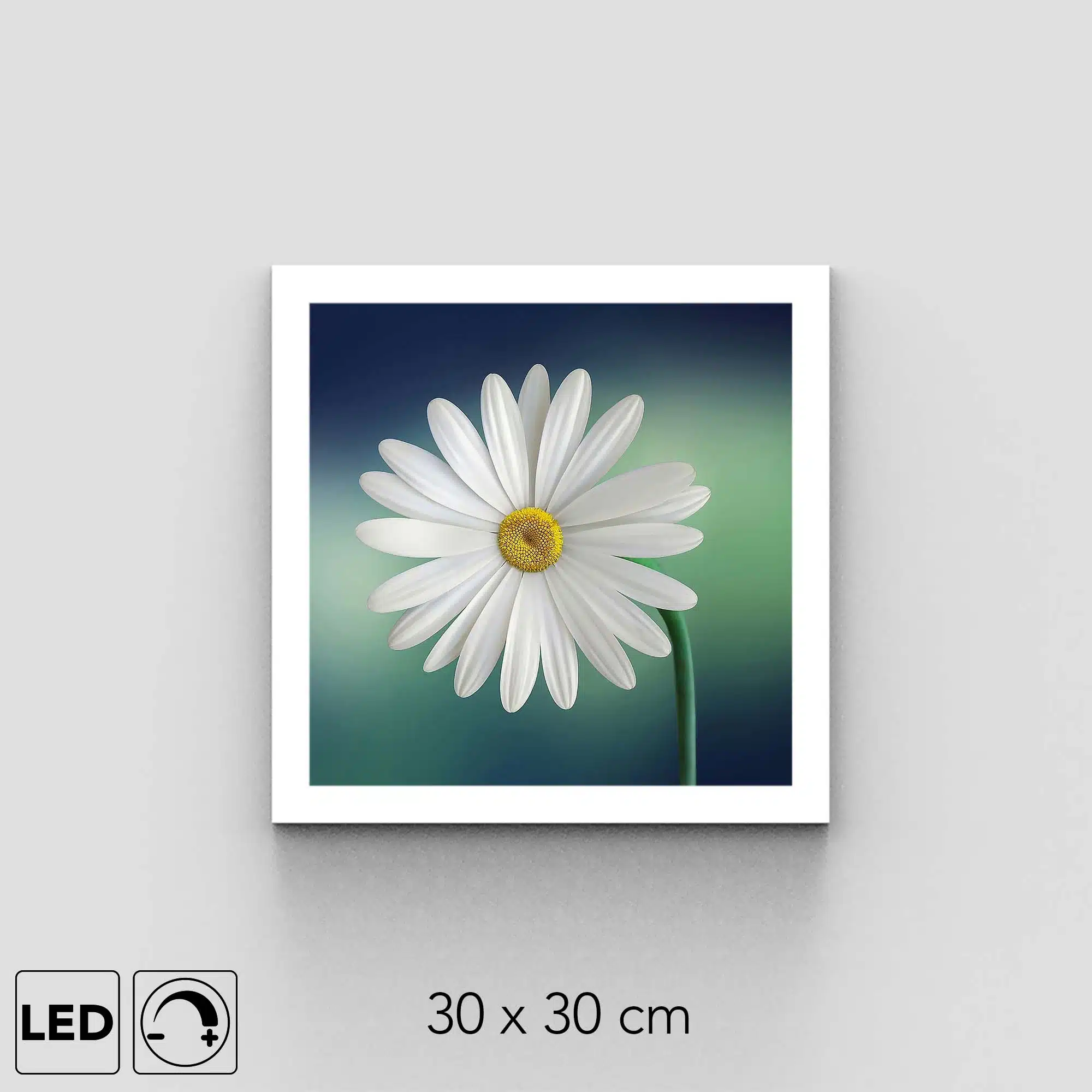 Applique murale marguerite blanche Applique murale marguerite blanche