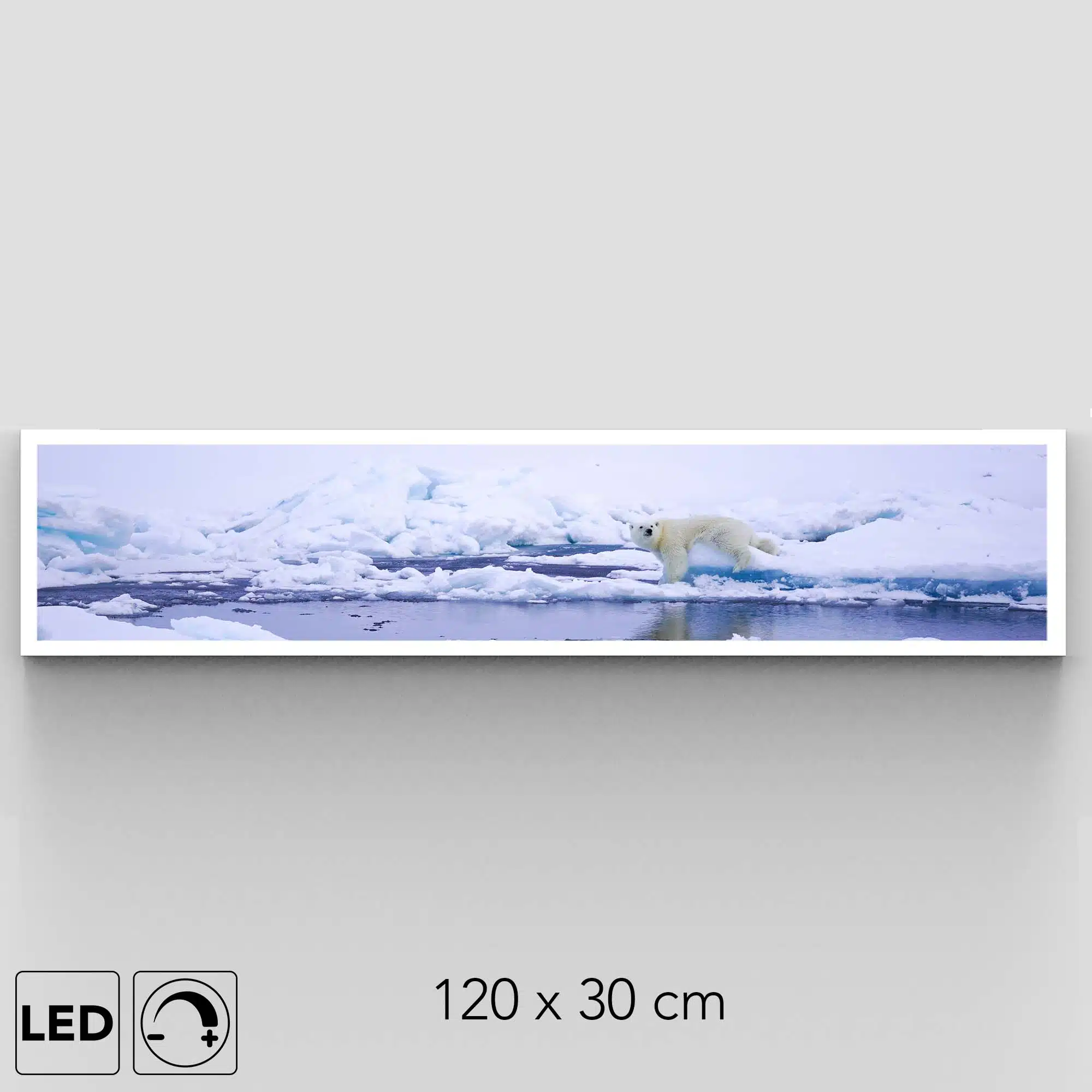 Applique ours polaire panorama Applique ours polaire panorama