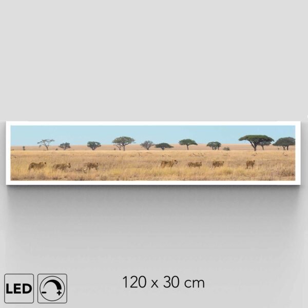 Applique murale savane
