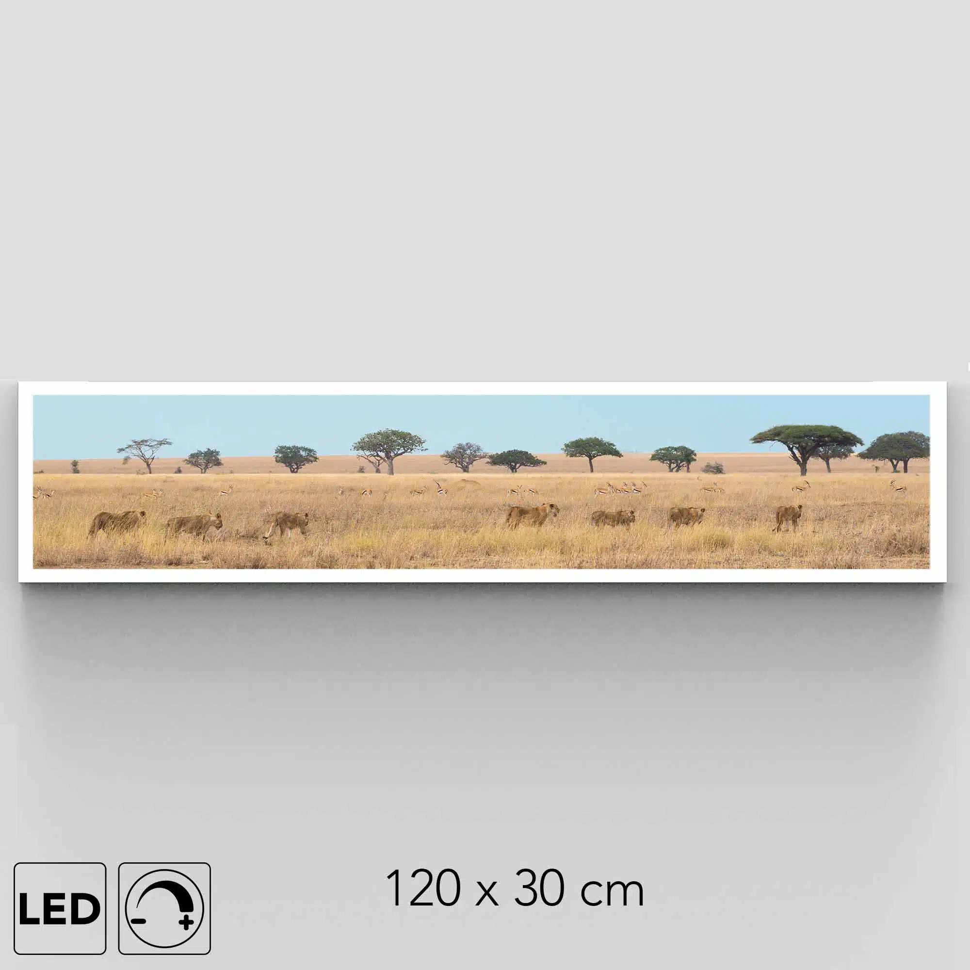 Applique murale savane