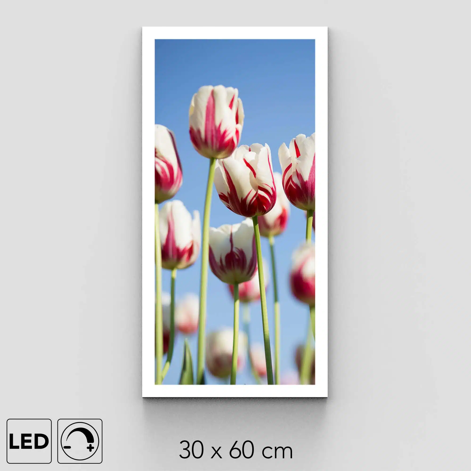 Applique murale tulipes Applique murale tulipes