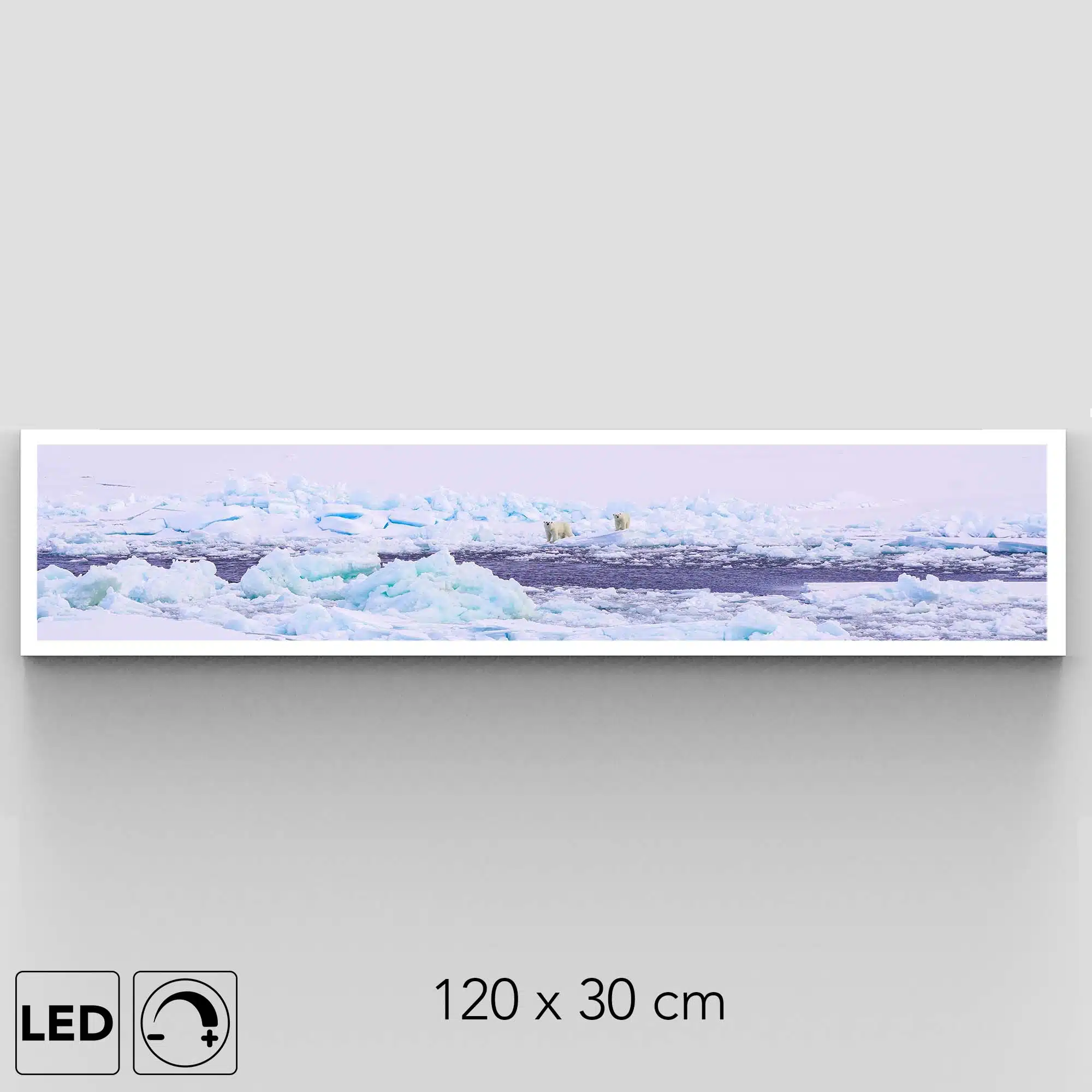 Applique murale ours polaire panoramique Applique murale ours polaire panoramique