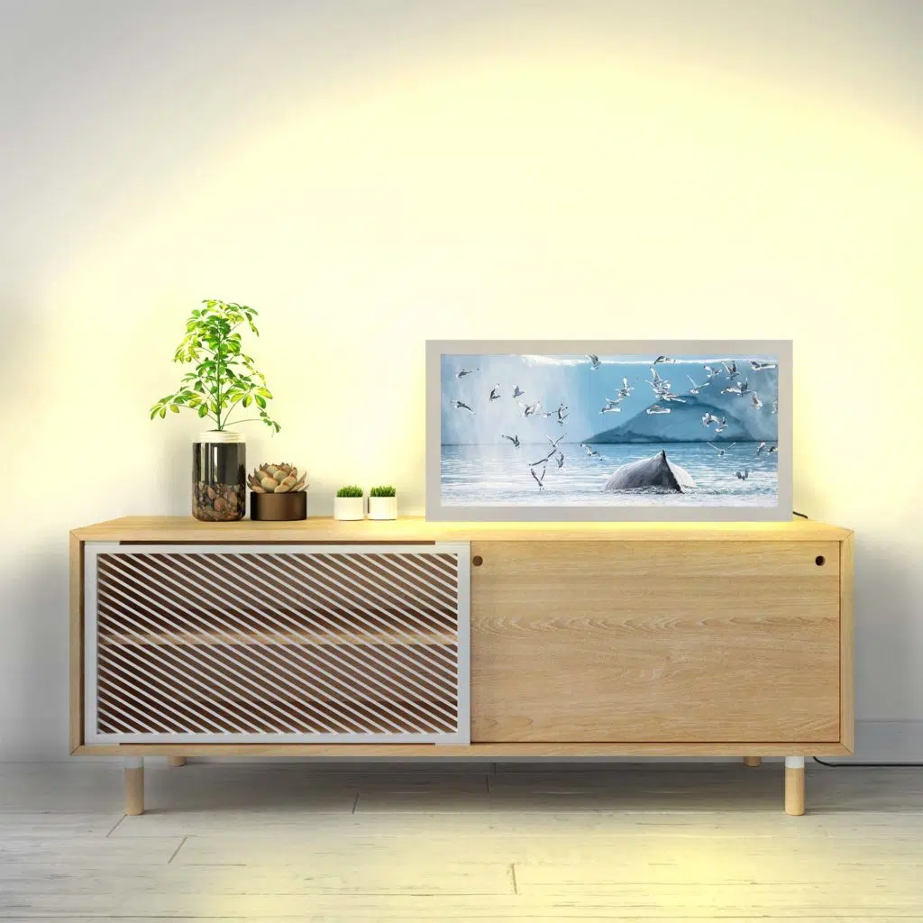 Lampe baleine allumée