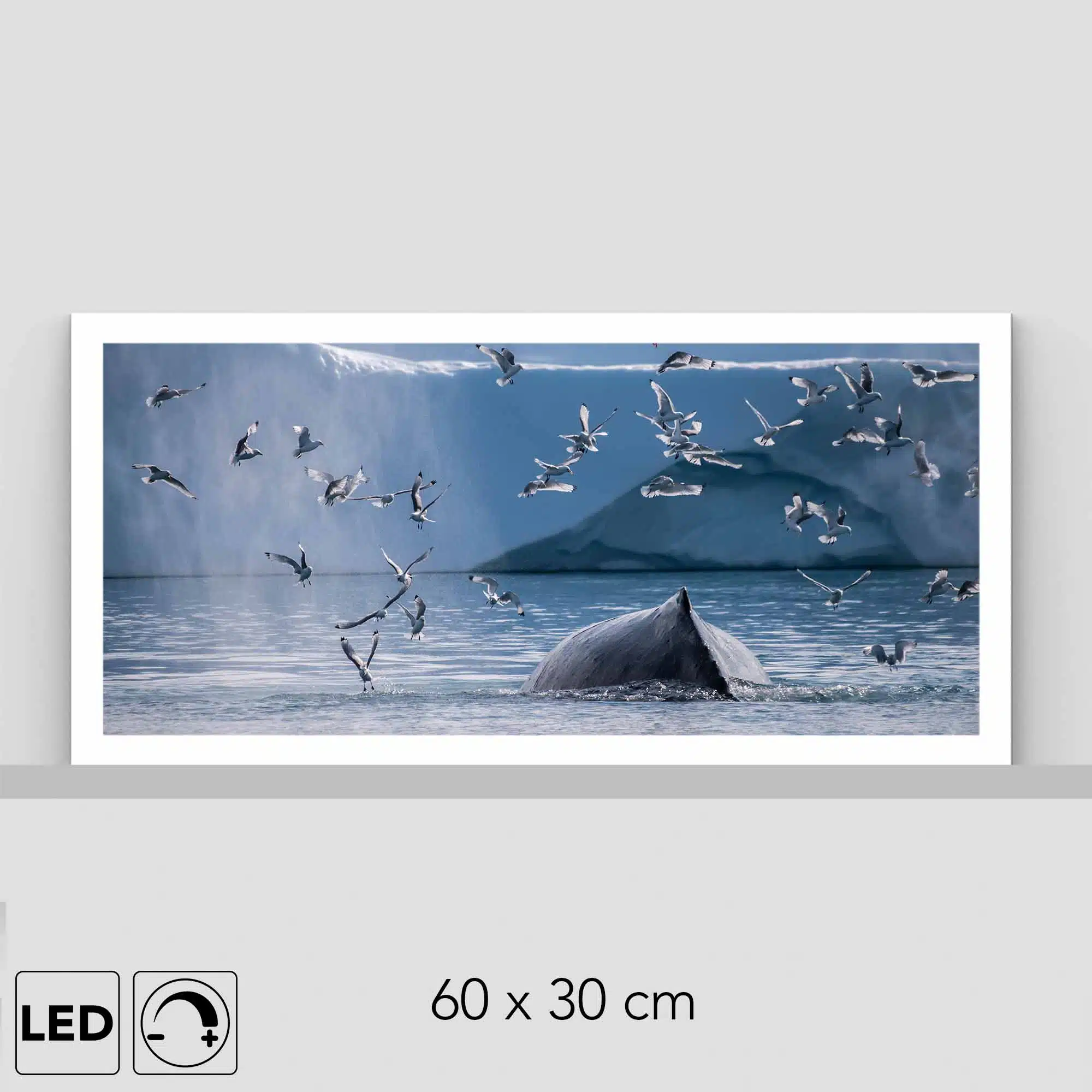 Lampe baleine Lampe baleine