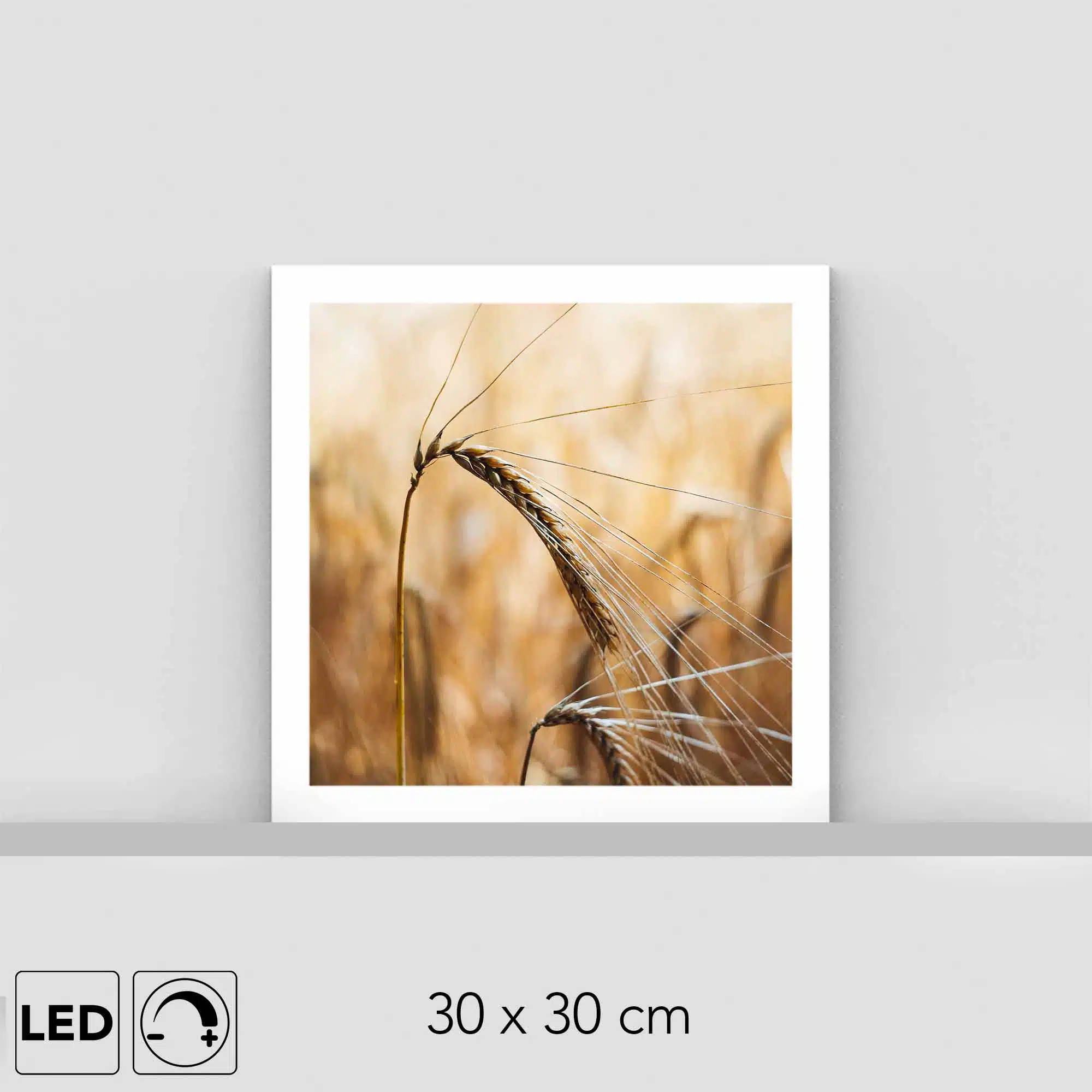 Lampe blé Lampe blé