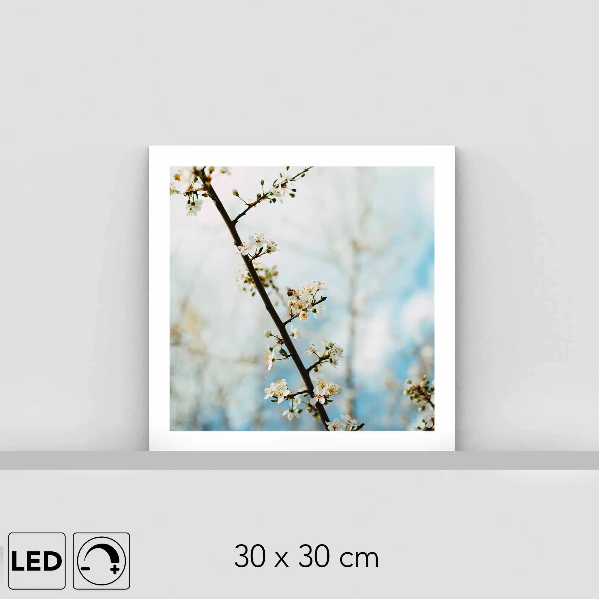 Lampe cerisier Lampe cerisier