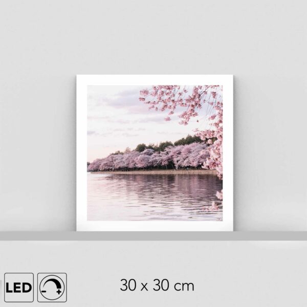 Lampe cerisiers